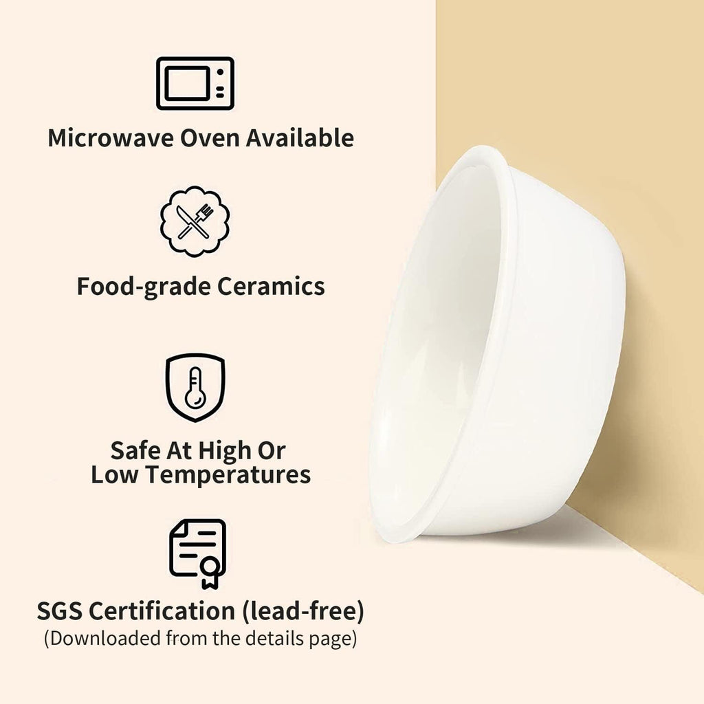 Elevated Cat Ceramic Bowls, Small Dog 15° Tilted Raised Food Feeding Dishes