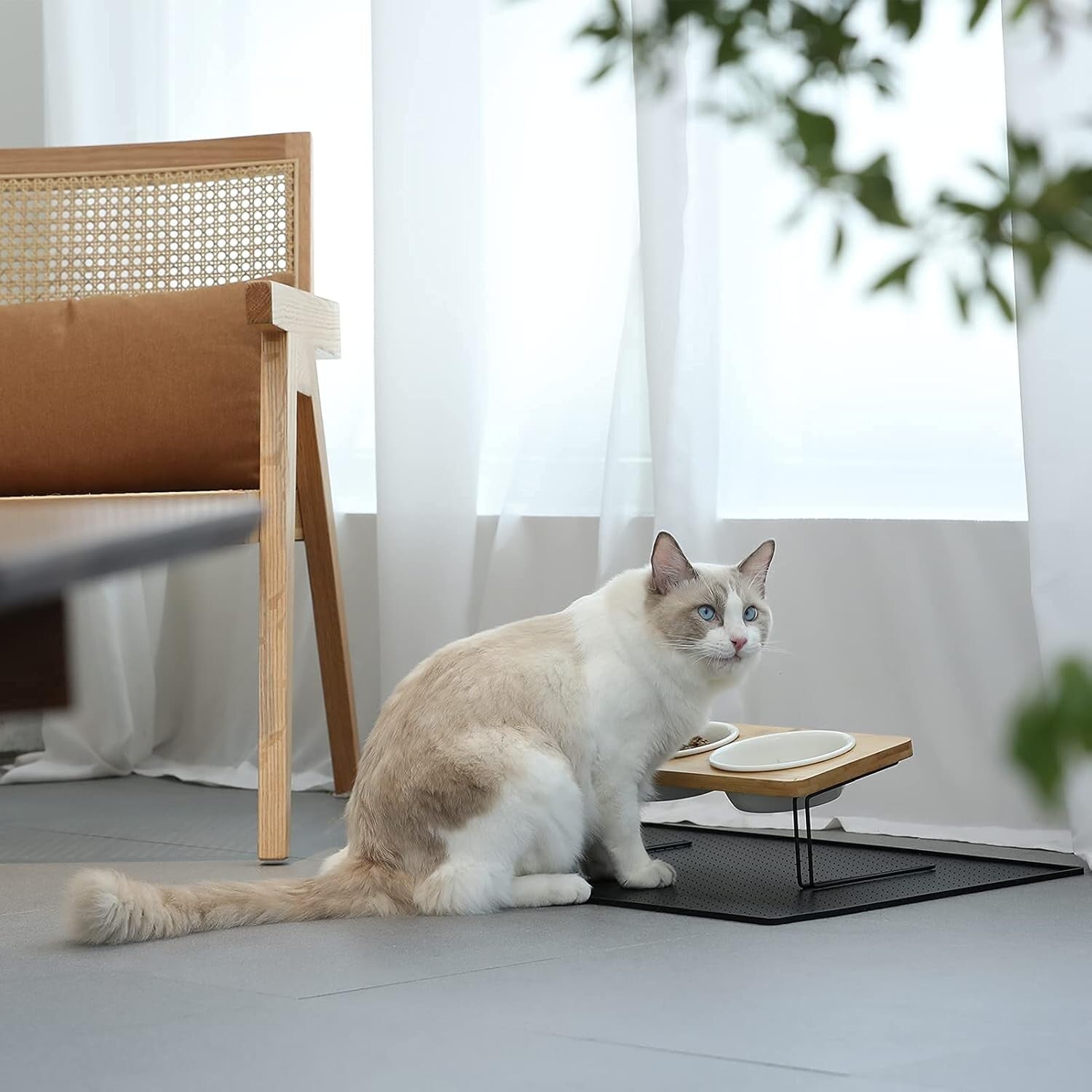 Elevated Cat Ceramic Bowls, Small Dog 15° Tilted Raised Food Feeding Dishes