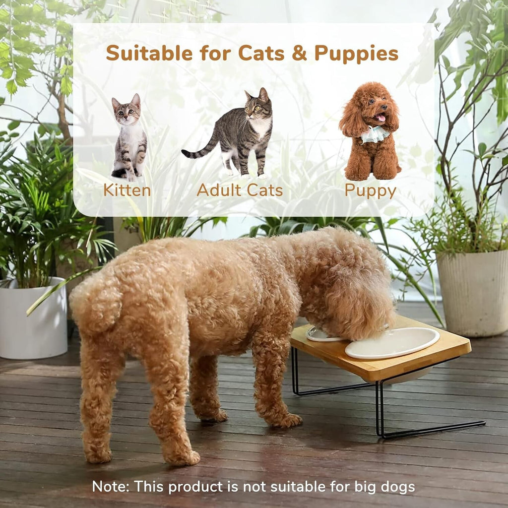 Elevated Cat Ceramic Bowls, Small Dog 15° Tilted Raised Food Feeding Dishes