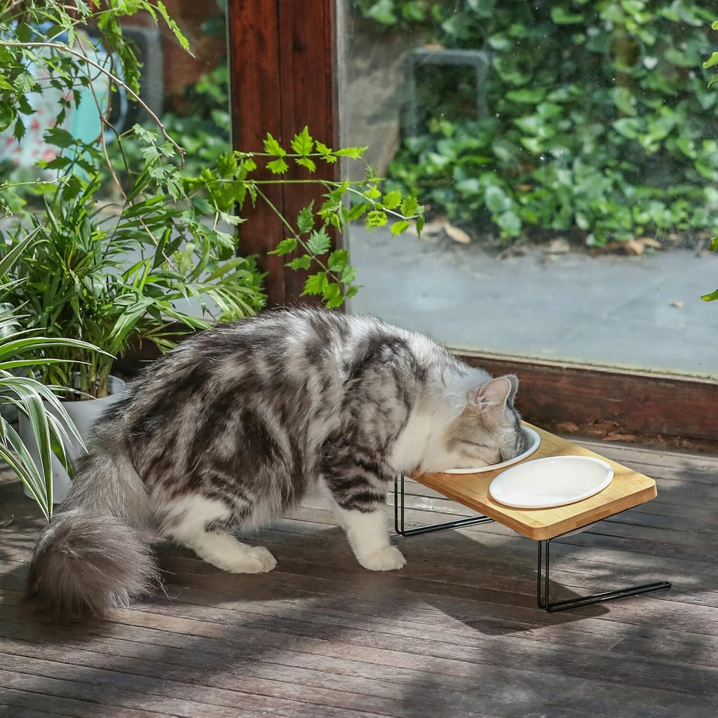 Elevated Cat Ceramic Bowls, Small Dog 15° Tilted Raised Food Feeding Dishes