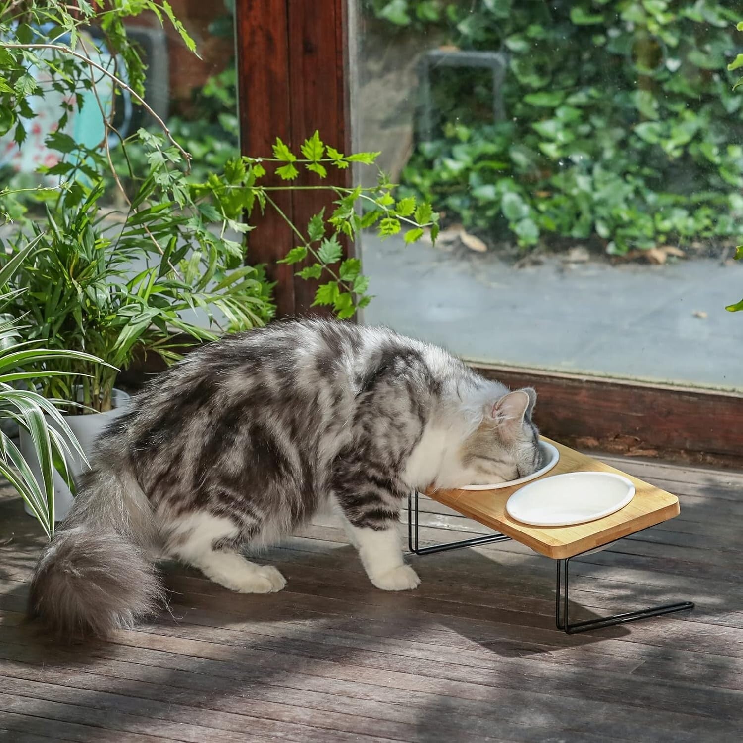 Elevated Cat Ceramic Bowls, Small Dog 15° Tilted Raised Food Feeding Dishes
