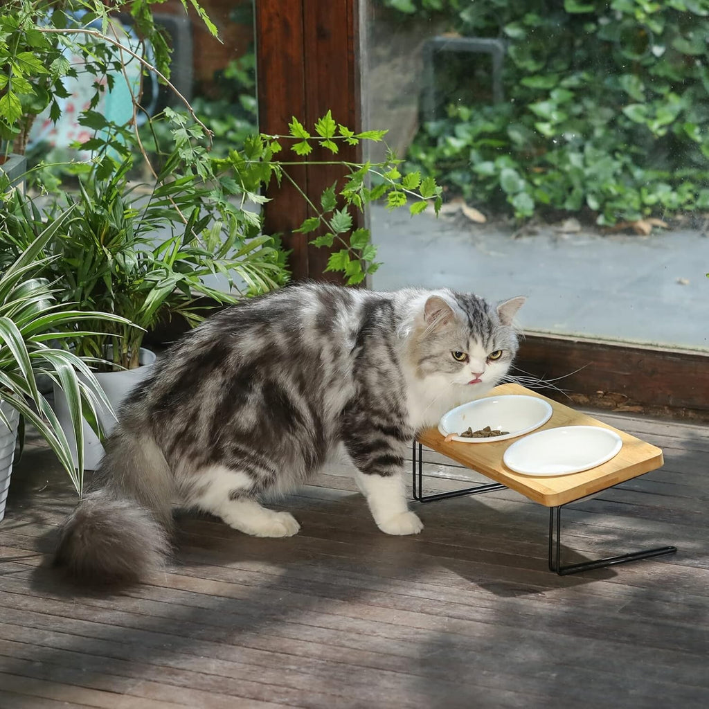 Elevated Cat Ceramic Bowls, Small Dog 15° Tilted Raised Food Feeding Dishes