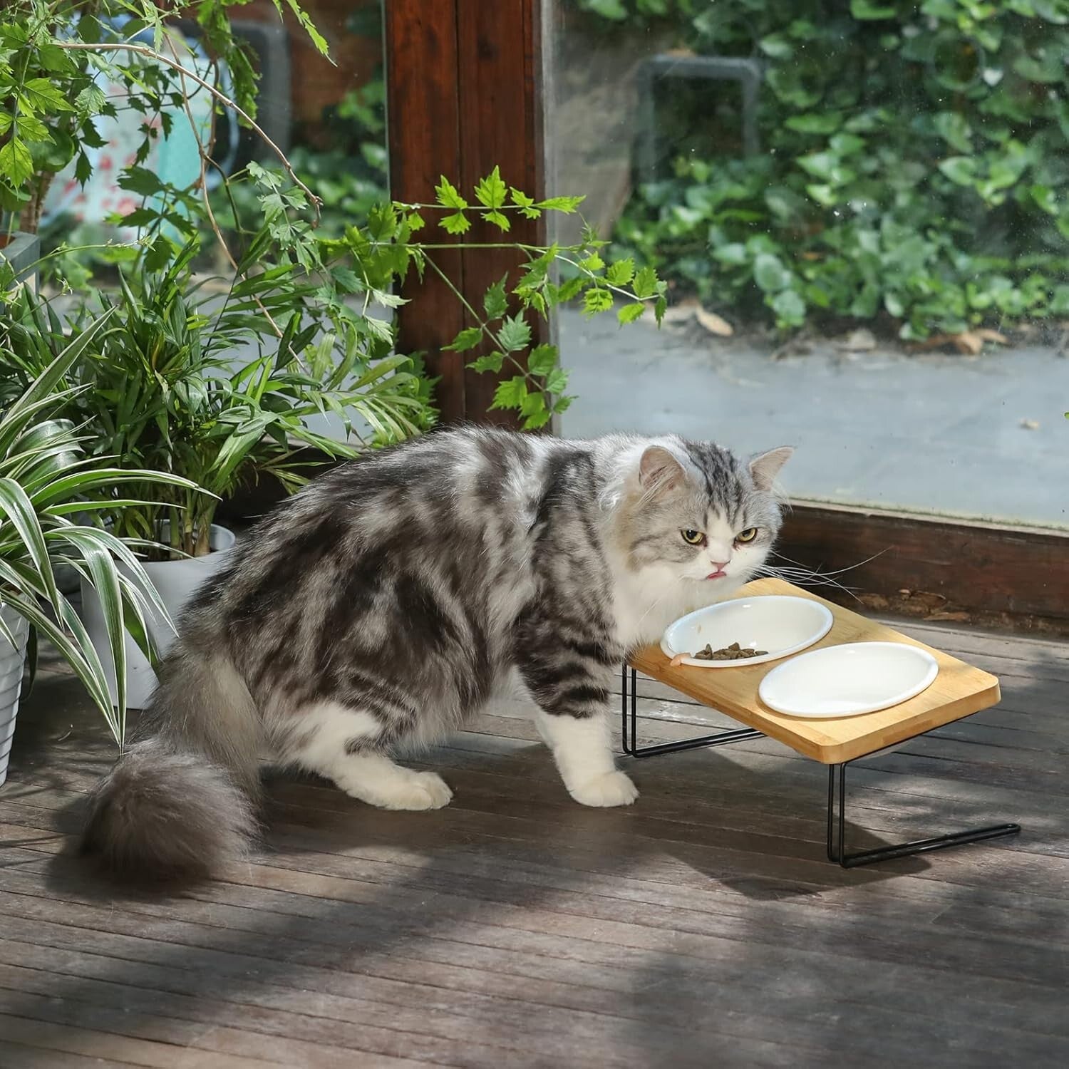 Elevated Cat Ceramic Bowls, Small Dog 15° Tilted Raised Food Feeding Dishes