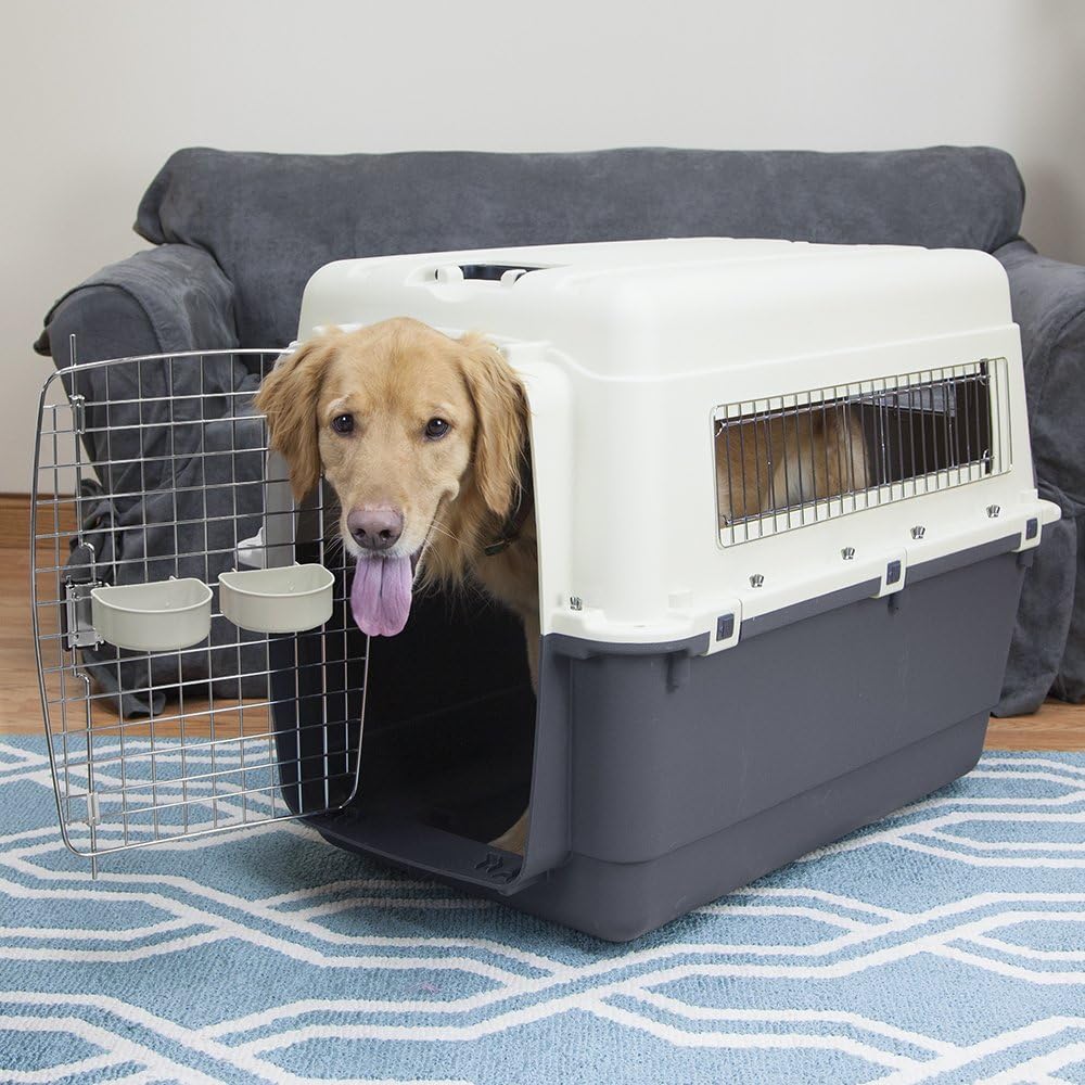 SportPet Designs Plastic Kennels Rolling Plastic Airline Approved Wire Door Travel Dog Crate, XXX-Large, Gray