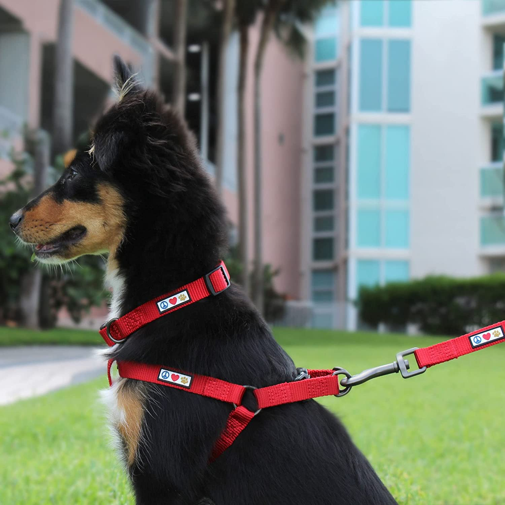 Solid 6 Ft Pink Dog Leash M/L Custom Name and Phone Embroidery Strong Nylon Leash for Medium and Large Breeds