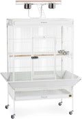 Pet Products Wrought Iron Select Bird Cage 3154C, Chalk White, 36-Inch by 24-Inch by 66-Inch